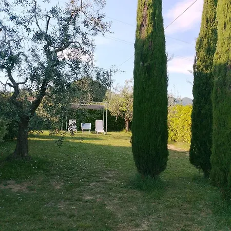 Apartament Oliver2